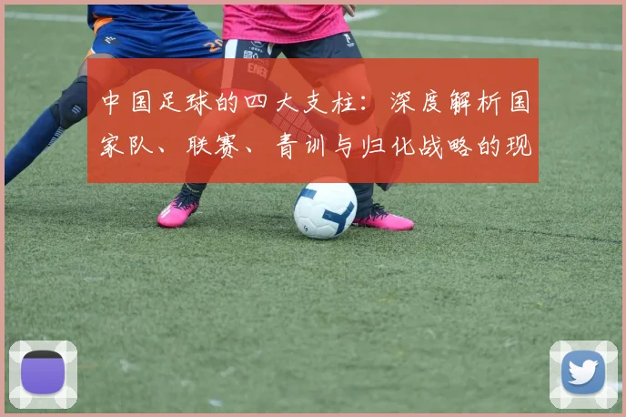 中国足球的四大支柱:深度解析国家队、联赛、青训与归化战略的现状与未来