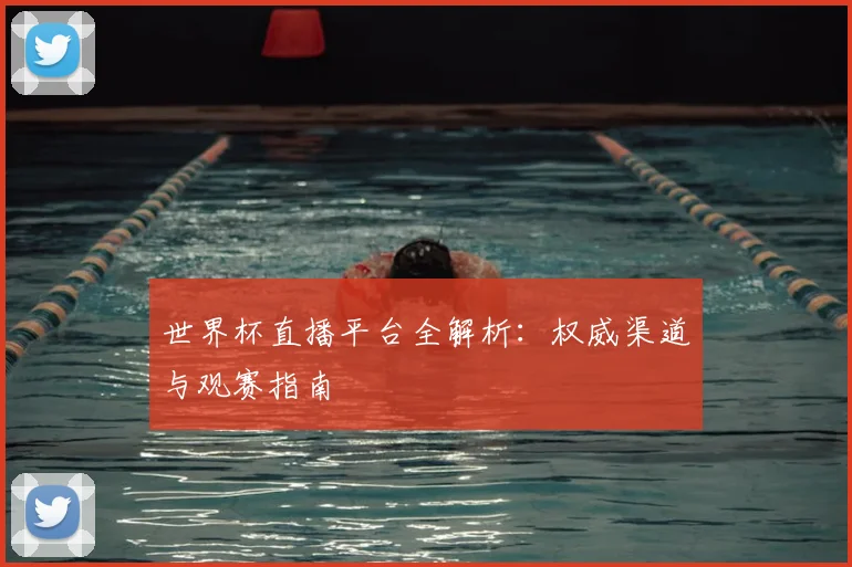 世界杯直播平台全解析:权威渠道与观赛指南