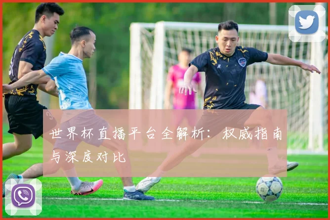 世界杯直播平台全解析:权威指南与深度对比