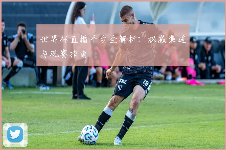 世界杯直播平台全解析:权威渠道与观赛指南