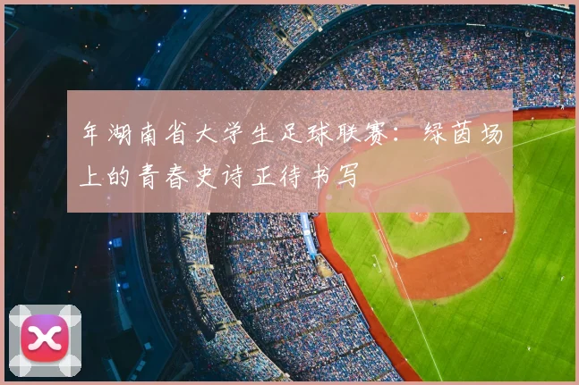 年湖南省大学生足球联赛:绿茵场上的青春史诗正待书写